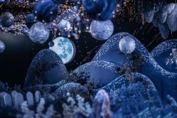 -深圳益田威斯汀酒店·宴会厅