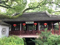 -上海醉白池公园