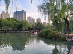 -西苑公园