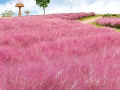 -阳澄湖半岛旅游度假区