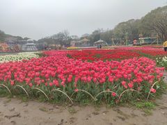 -无锡梅园公园