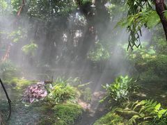 -Chom Cafe and Restaurant