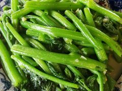 南瓜苗-生态苑农庄(十里画廊遇龙河店)