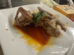 -百利鸽王(紫薇路店)