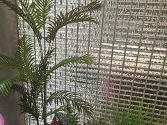 -琬苑鸽庄·川粤融合菜(解放碑总店)