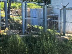 -青藏高原野生动物园