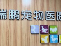 -瑞鹏·疫苗·绝育·宠物医院(广九店)