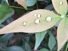 iphone_upload_pic-苏州吴宫泛太平洋酒店