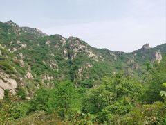 -大岭沟猕猴桃谷风景区