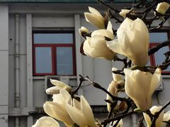 -中国中医科学院西苑医院(本部)