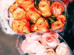 -循礼门鲜花花市(武汉循礼门店)