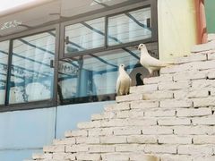 -瓷天下海丝谷
