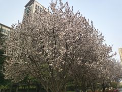 -木塔寺遗址生态公园