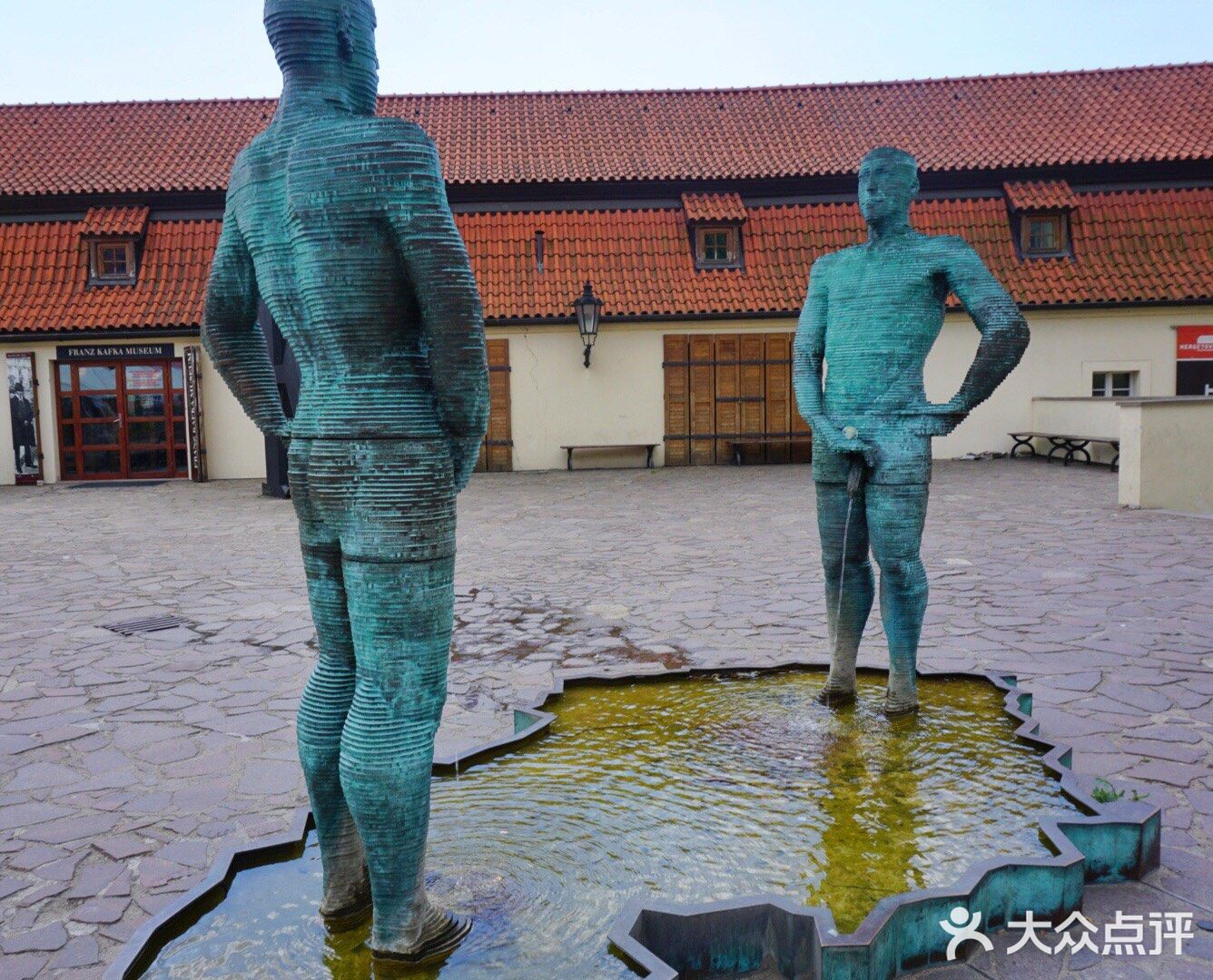 三两只洁白和平鸽悠哉地觅食