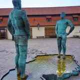 三两只洁白和平鸽悠哉地觅食