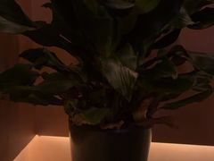 -霖公馆SPA·足道(普善路店)