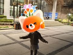 -金石滩绿发温泉假日酒店-海洋之星餐厅