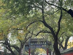 -北京国子监胡同