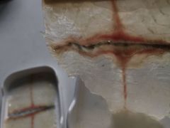 斑鱼片（一片）-大连海鲜斑鱼火锅(安平店)