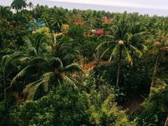 -老字号李姐炒冰(夏日百货店)