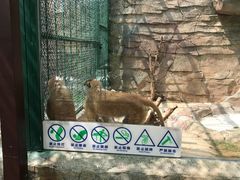 -泉州海丝野生动物世界