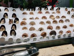 -亚马逊环球美食百汇(新城吾悦广场店)