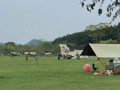 -风云岭森林公园