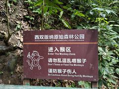 -西双版纳原始森林公园