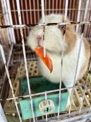 -小蜜蜂农场(凯德七宝购物广场店)