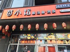 -苗小坛酸汤鱼(酒仙桥店)