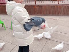 -陕西自然博物馆