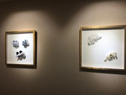 -海豚湾高端月子会所(黄浦店)