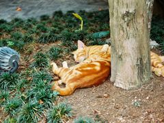 -柯达真美(老重庆中路店)