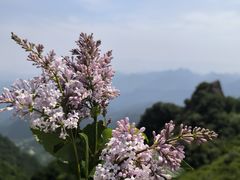 -白草畔自然风景区