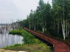 -汤旺河林海奇石景区
