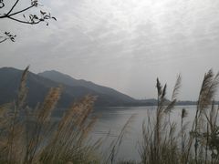 -羚羊峡古栈道森林公园