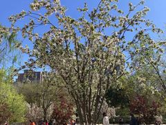 -元大都城垣遗址公园