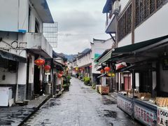 -后柳水乡