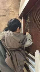 点击看大图 -宝燕乐园(闵行旗舰店)