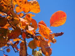 -北京西山国家森林公园