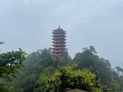 -缙云山景区