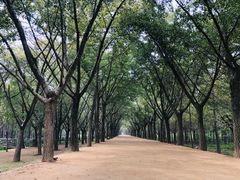 -艾山风景名胜区