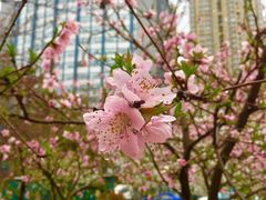 -青岛市图书馆