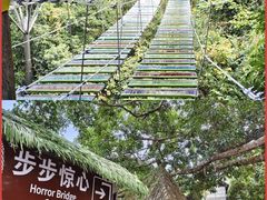 -海南槟榔谷黎苗文化旅游区