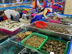 -三亚新鸿港水果一级批发市场