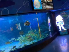 -烟台海昌鲸鲨海洋公园