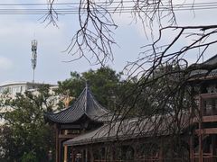 -金孔雀温泉旅游度假村