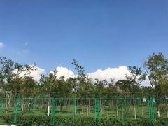 -天津东丽湖风景区