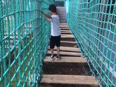 -广东茂名森林公园