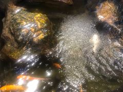 -天喜酒楼饭市·茶市(同德皇宫店)